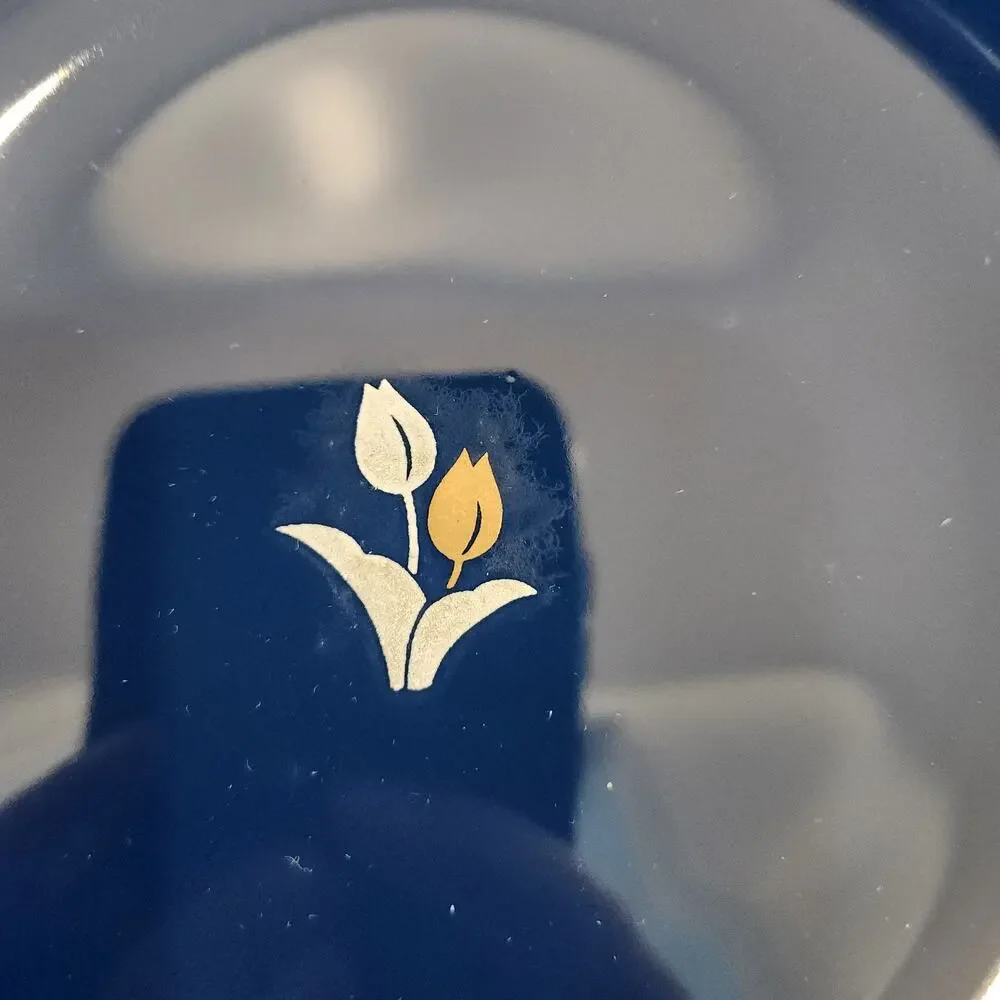 Tachikichi Cobalt Blue 5 Pc Floral Plate Set Curry Dinner Tableware Dishes W/Box